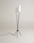 Lampada da terra scandinava con due paralumi, anni ’50
