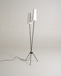 Lampada da terra scandinava con due paralumi, anni ’50